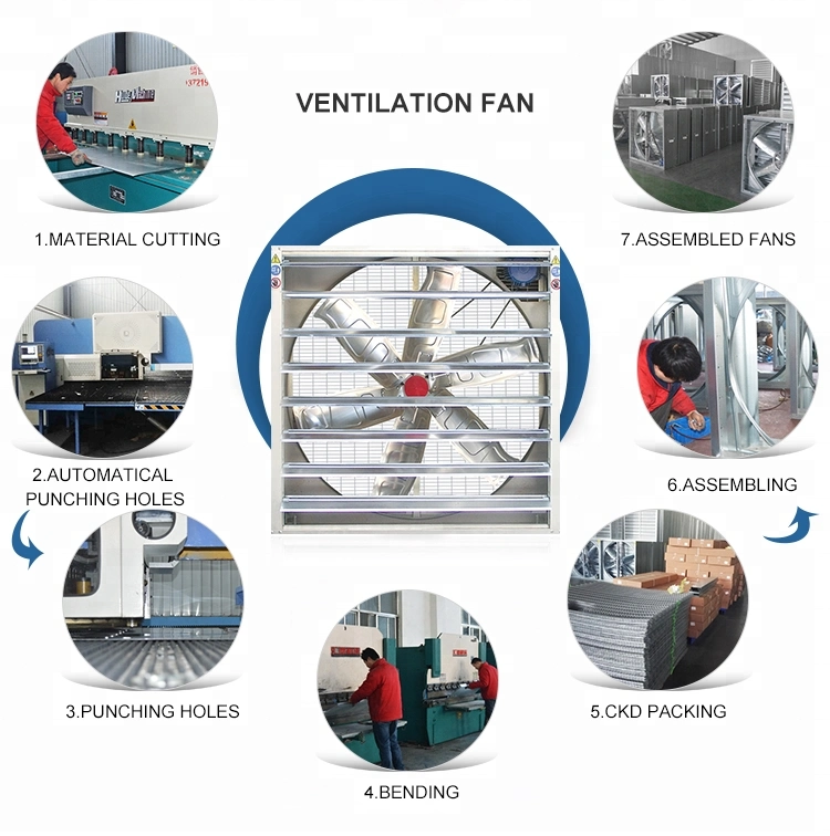 Heavy Hammer Type Industrial Wall Mounted Ventilation System Negative Pressure Exhaust Fan