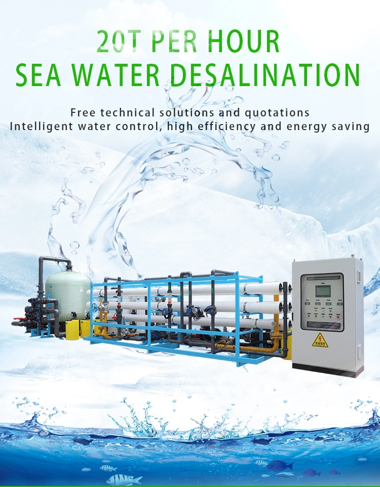 20m3 Per Hour Reverse Osmosis Systems Seawater Desalination Salt Water to Drinking Water