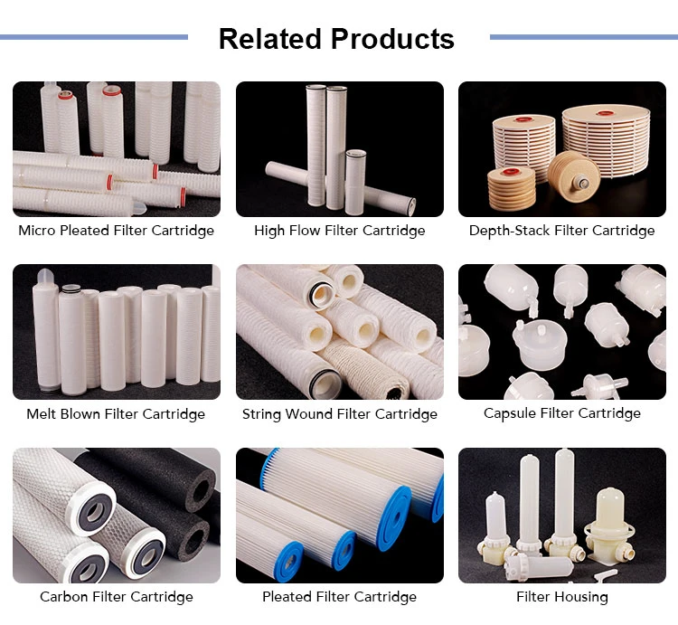 PP/Pes/Hydrophobic PTFE Kleenpack Capsule Filter for Food and Beverage Pharmaceutical