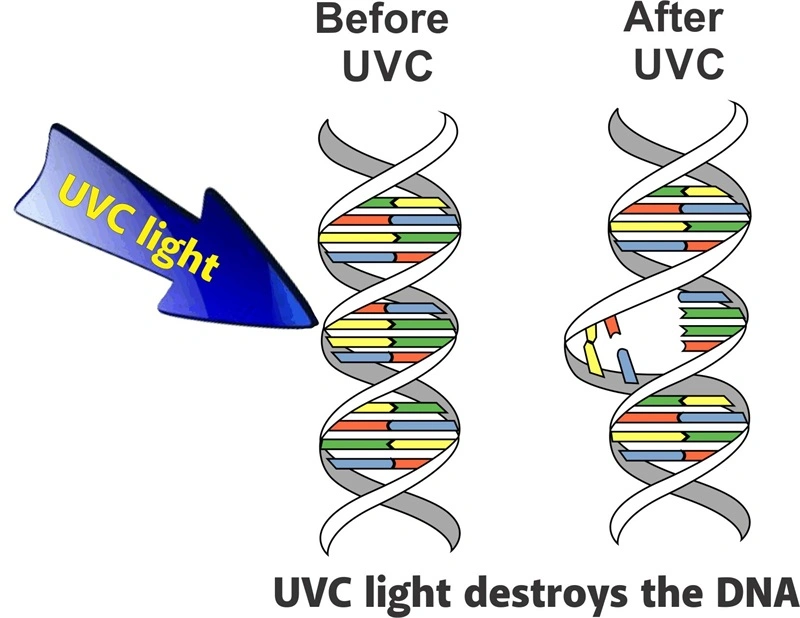 UV-C Germicidal Disinfection Lamp System for HVAC Air Systems