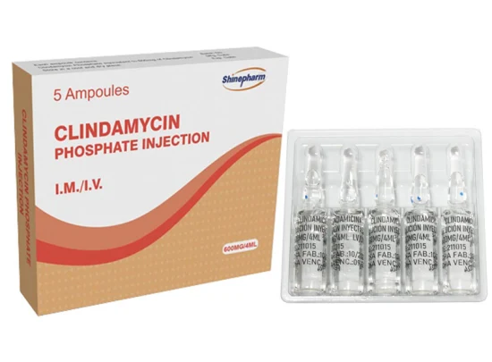Clindamycin Phosphate Injection 600mg/4ml with GMP OEM