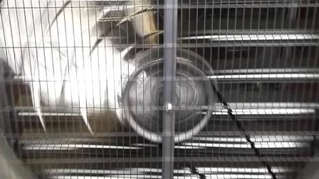 Drop Hammer Industrial Exhaust Fan/Chicken Poultry House Ventilation Fan